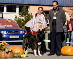 V�stavy - archiv ( od 2010 )