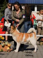 V�stavy - archiv ( od 2010 )