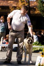 V�stavy - archiv ( od 2010 )