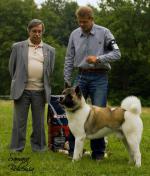 V�stavy - archiv ( od 2010 )