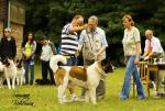 V�stavy - archiv ( od 2010 )