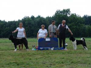 V�stavy - archiv ( od 2010 )