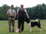 V�stavy - archiv ( od 2010 )