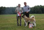 V�stavy - archiv ( od 2010 )