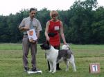 V�stavy - archiv ( od 2010 )