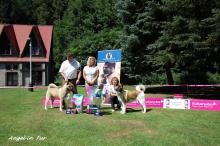 V�stavy - archiv ( od 2010 )