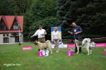 V�stavy - archiv ( od 2010 )