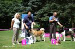 V�stavy - archiv ( od 2010 )
