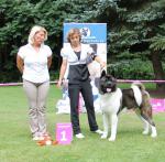 V�stavy - archiv ( od 2010 )