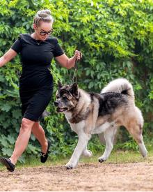 V�sledky v�stavy - 2026